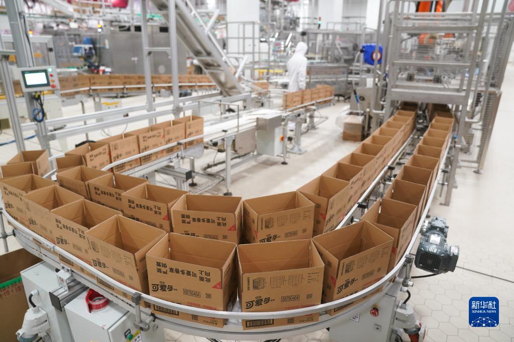 9 ?????? ???? ?? ????????? ?????? ?????? ????