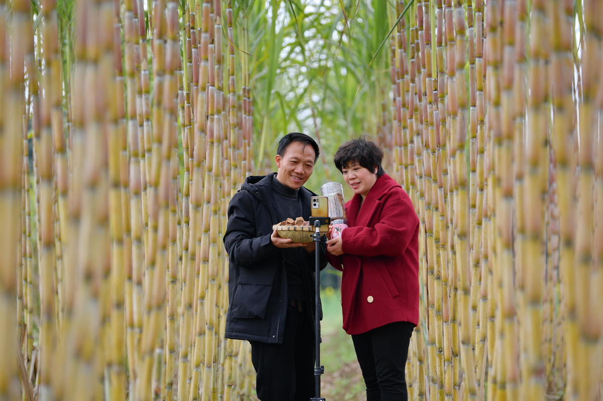 ??? ????? ?????? ????? ?? ??????????