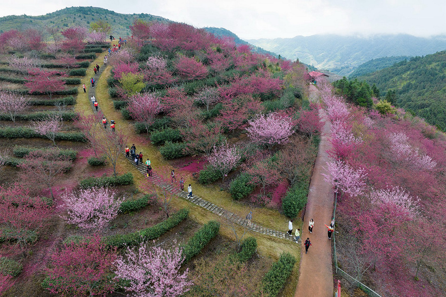  ?????????????????:  ????? ?????? ???? ???? ????? ??????? ??????? ?? ??? ??????