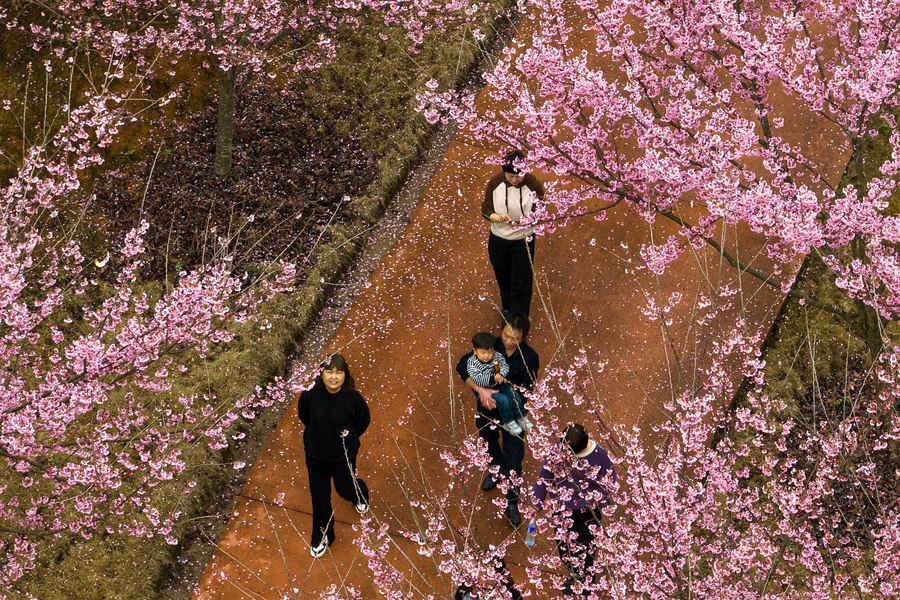  ?????????????????:  ????? ?????? ???? ???? ????? ??????? ??????? ?? ??? ??????