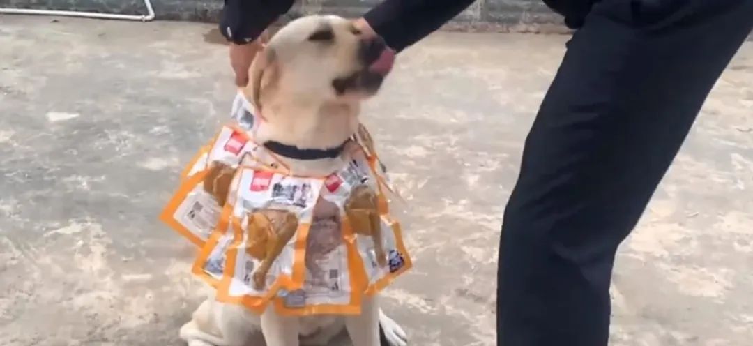 ?? ??????: ??? ?? ????? ??? ???????? ??? ?????? ?? 6 ????? ????