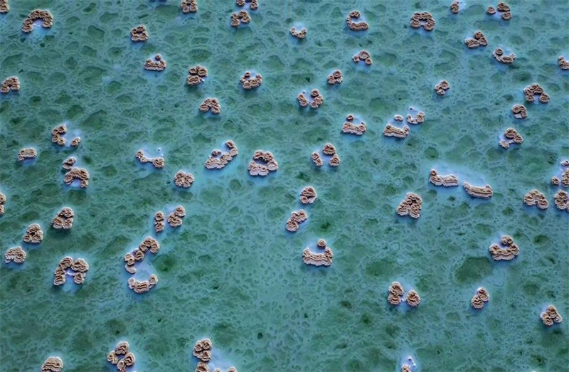 ??? ???? ???????? .. ????? ??????