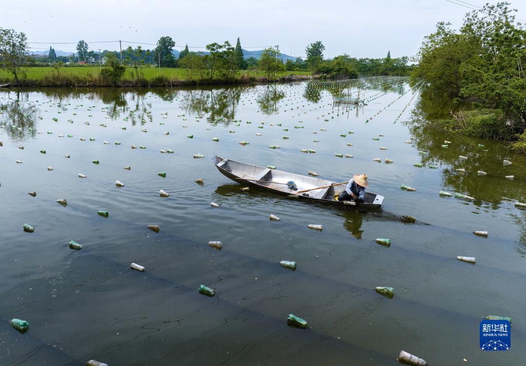 ?????? ??????? ????????? ??