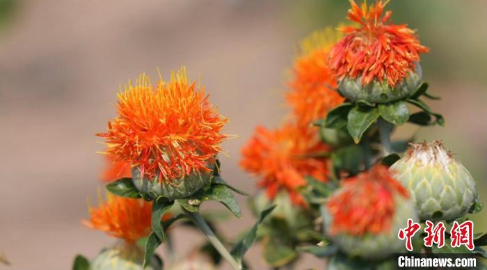 ?????? ?? ??????? ?????????? ???? ???? ????? ???? ??? ?????????