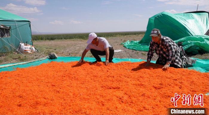 ?????? ?? ??????? ?????????? ???? ???? ????? ???? ??? ?????????