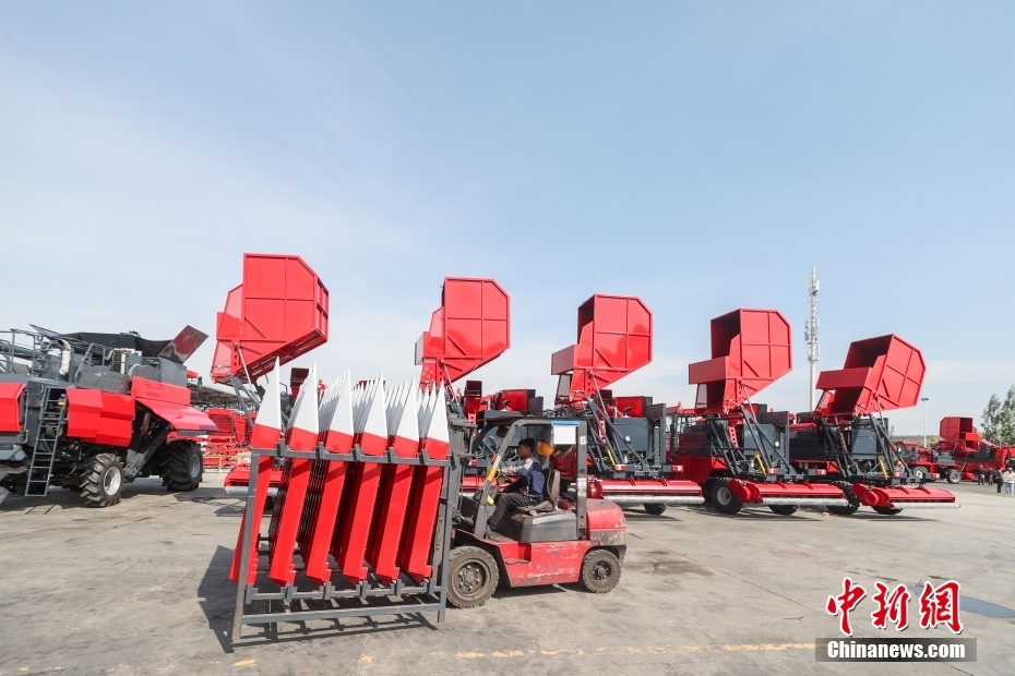 ????? ?????? ???????? ????????? ??? ???? ?? ??????? ????????