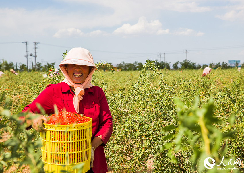 ??? ??????? ???? ????? ???? ????????? ?? ???????