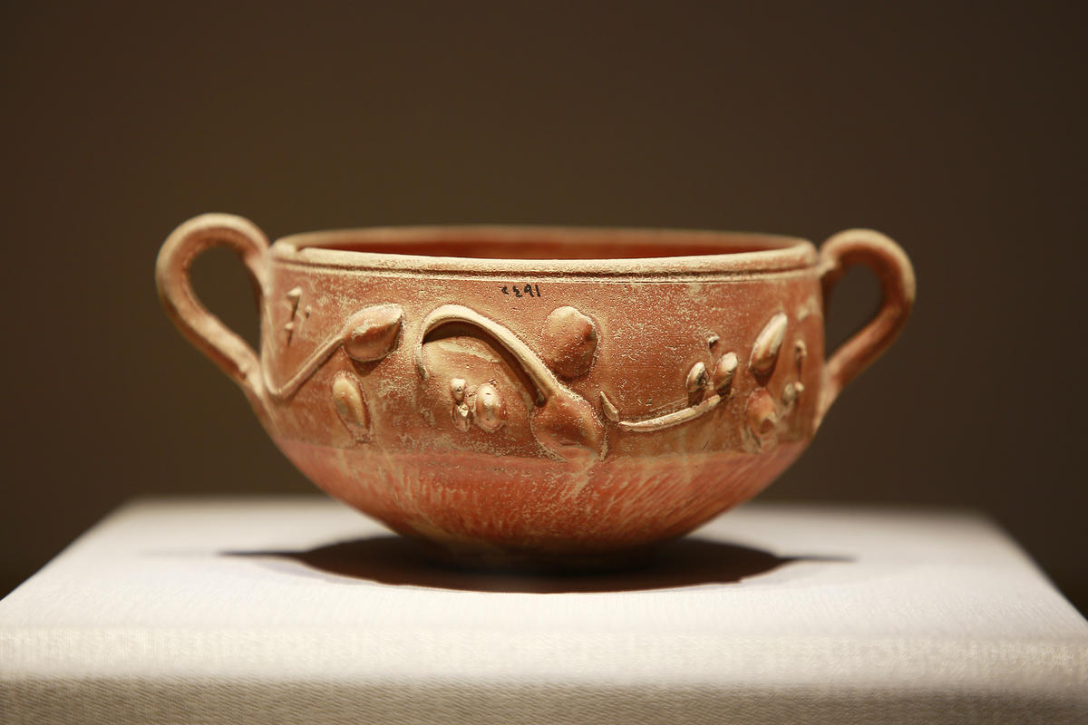 ???????? ???????: ???? ?????? ???????? ??????? ??????? ???????? ???? ??????