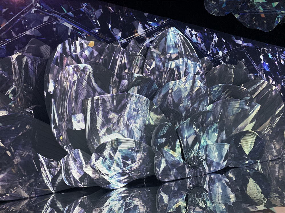 ?????? ?????? ???? ?? ????? ?? ?????? ?????? ??????