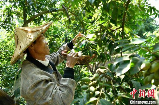 ??????? ?? ????? ????????? ??? ??????