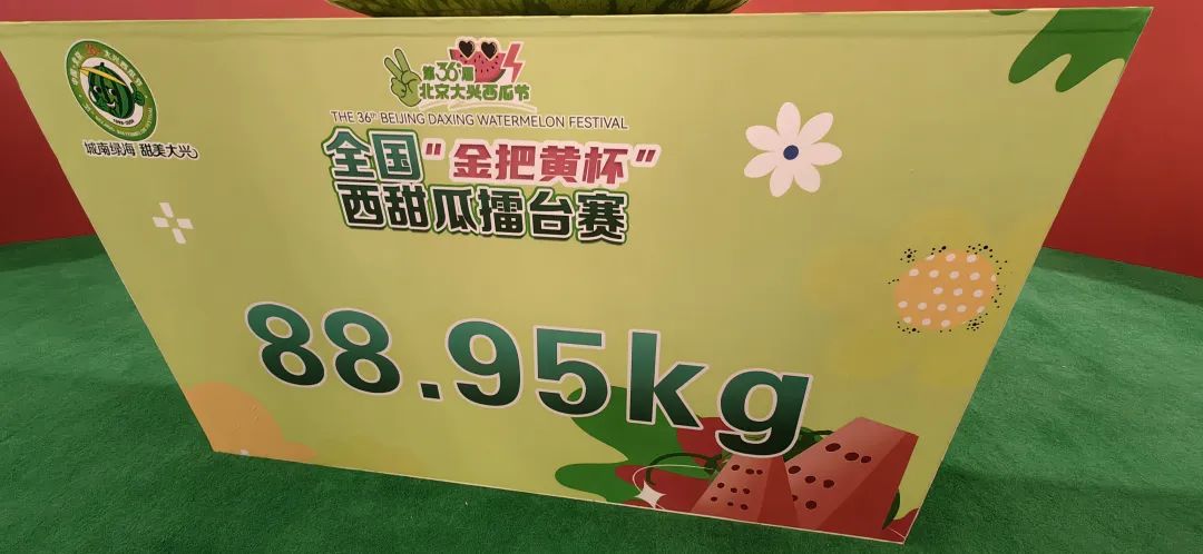 88.95 ??! 