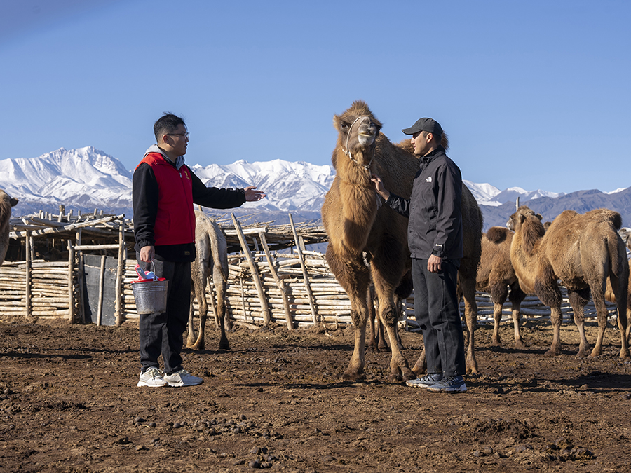 ????? ????? ???? ???? ?????? ????? ???? ????? ?????????