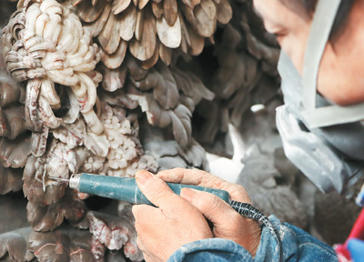 ??? ??? ?????? ???????: ???? ????? ?????? ??????