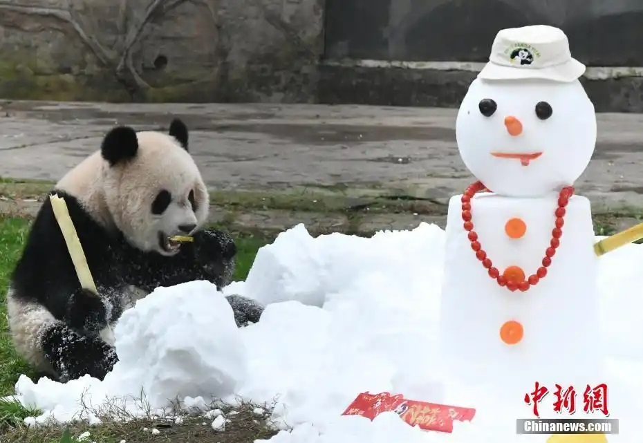 ??????????: ??????? ???????? ?????? ?????? ???????? ??? ??????