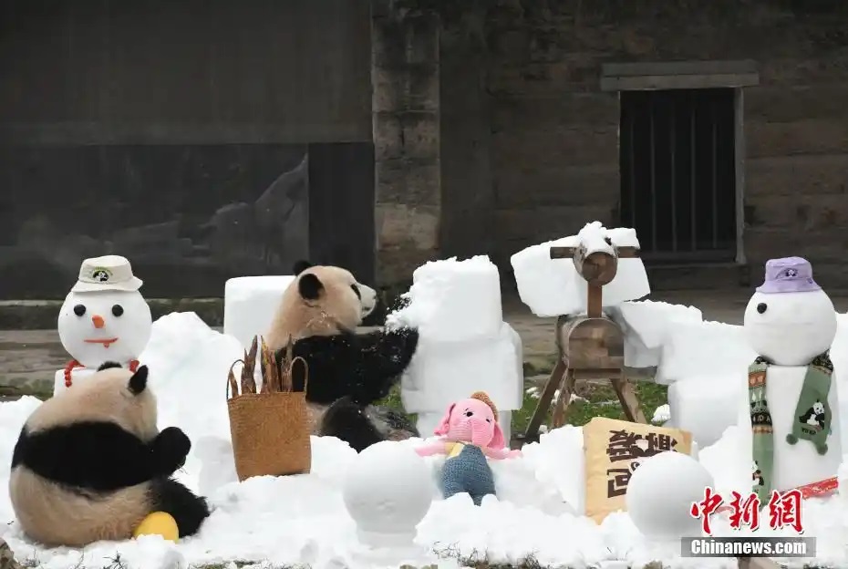 ??????????: ??????? ???????? ?????? ?????? ???????? ??? ??????