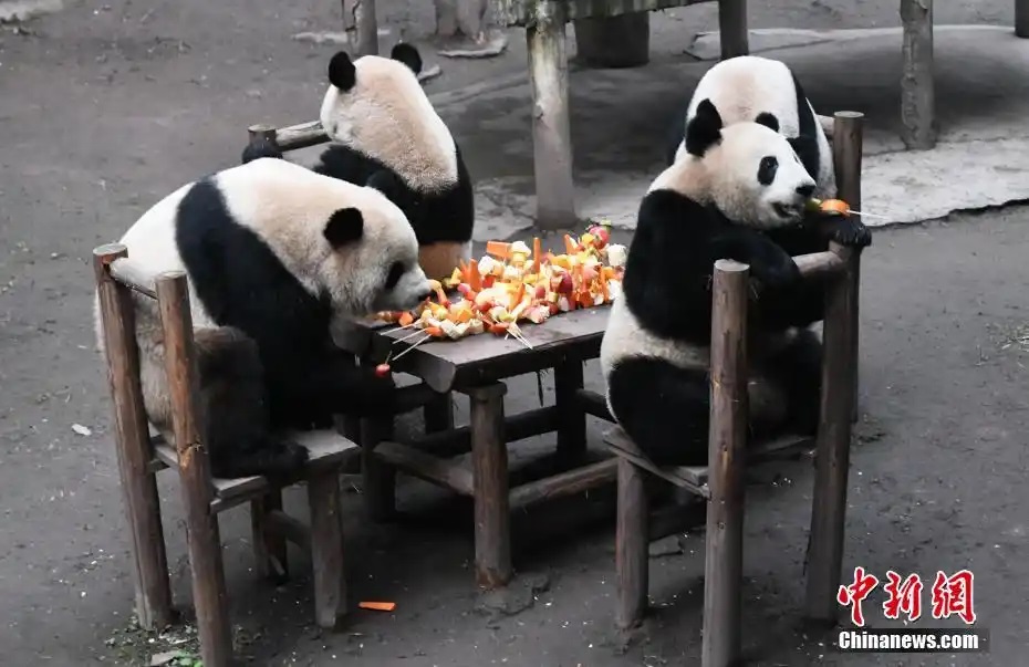 ??????????: ??????? ???????? ?????? ?????? ???????? ??? ??????