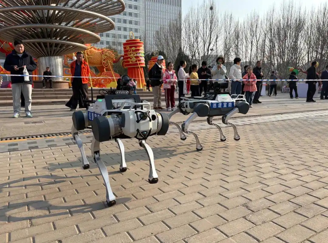 ?????: ???? ??????? ???? ??????? ?? ????? ?????