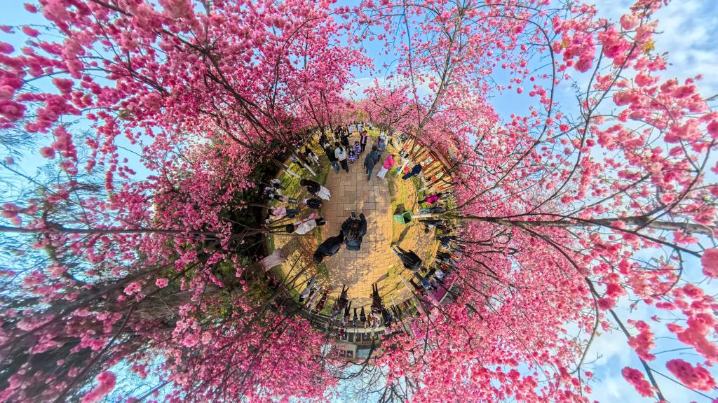 ??????: ????? ???? ???? ????? ?? ????? ??????? ????? ?????? ?????? ???? ???? ?????