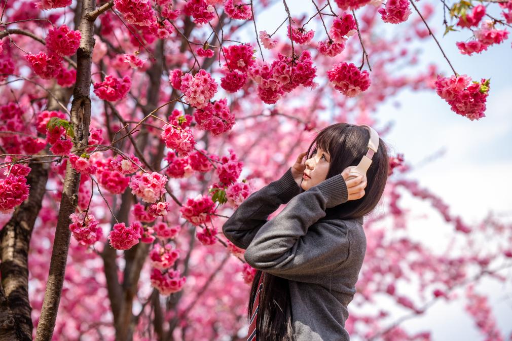 ??????: ????? ???? ???? ????? ?? ????? ??????? ????? ?????? ?????? ???? ???? ?????