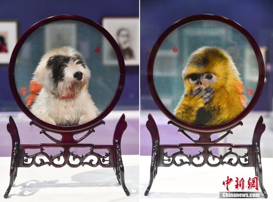 ????? ?? ??? ??? ?????? ?????