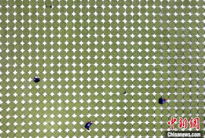 ??????? ?????? .. ????? ????? ?????? ??????