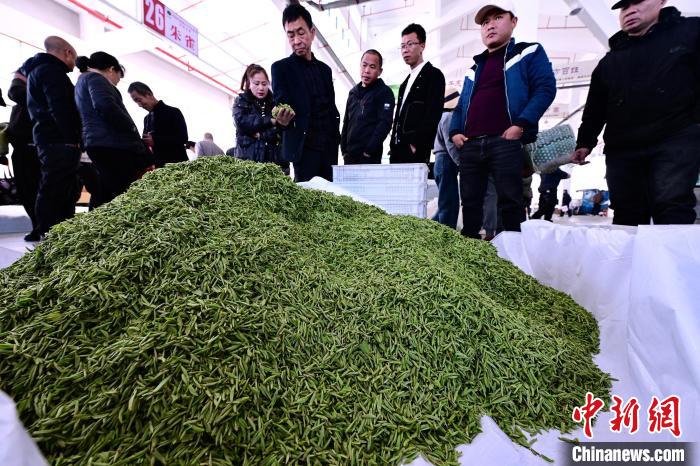 ??????? ?????? .. ????? ????? ?????? ??????