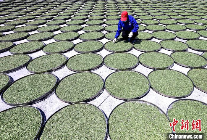 ??????? ?????? .. ????? ????? ?????? ??????