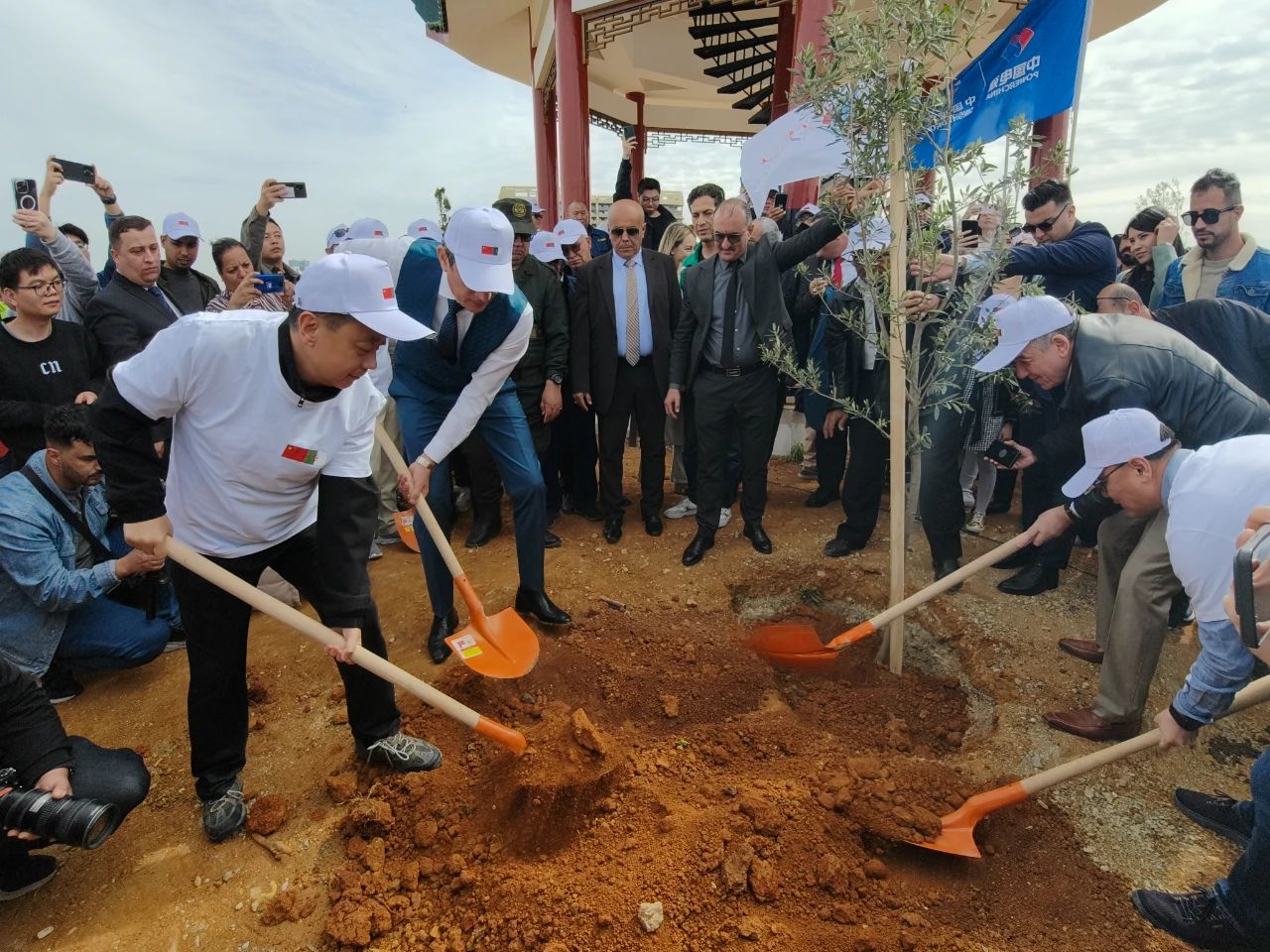 ??? ???? ?? 500 ???? ????? ???????? ????????? ?????? ?? ??????? ??? ??????? ??????