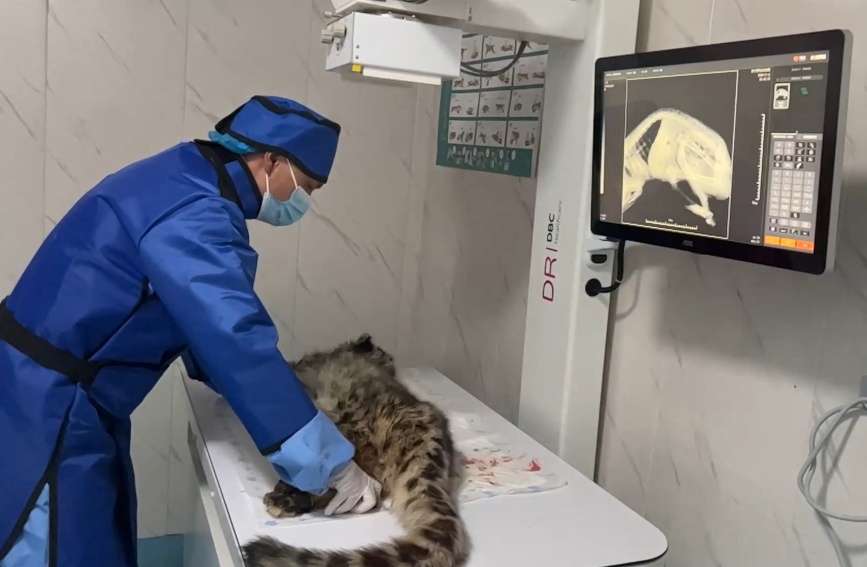 ????? ??? ??? ???? ?? ??? ?????? ???? ??? ???? ???????