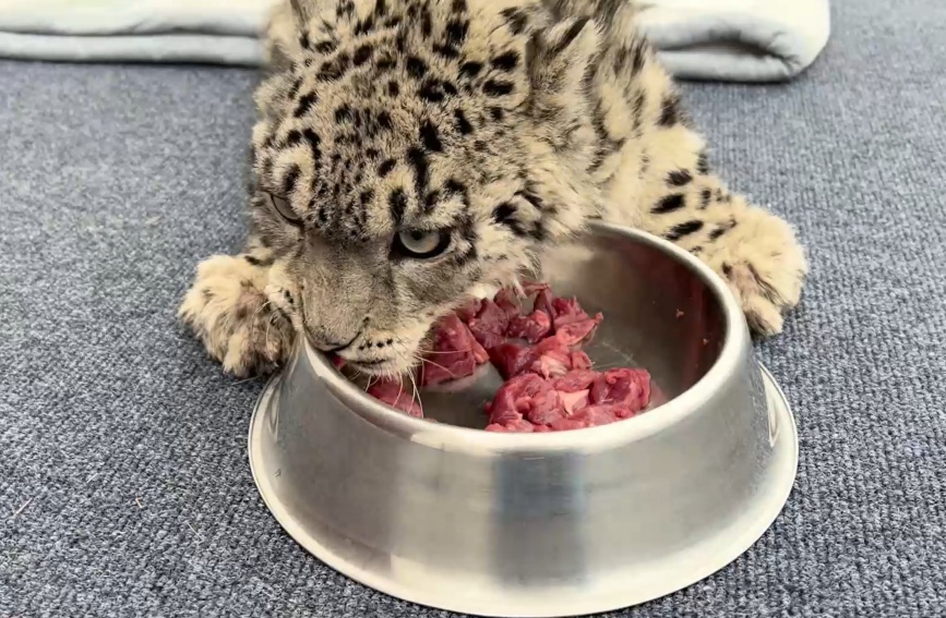 ????? ??? ??? ???? ?? ??? ?????? ???? ??? ???? ???????