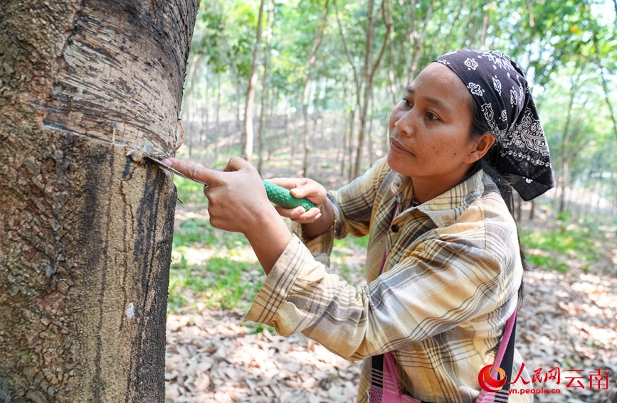 ????? ???????? ??? ?????? ?? ?????? ???????