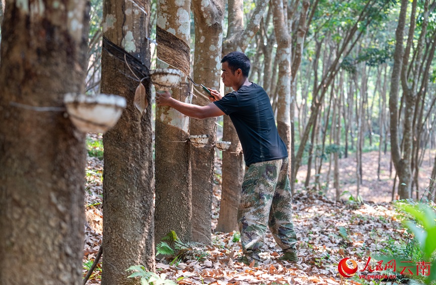 ????? ???????? ??? ?????? ?? ?????? ???????