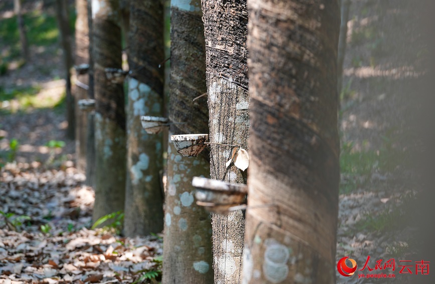 ????? ???????? ??? ?????? ?? ?????? ???????