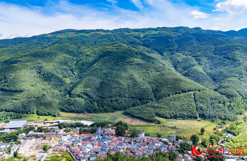 ????? ???????? ??? ?????? ?? ?????? ???????