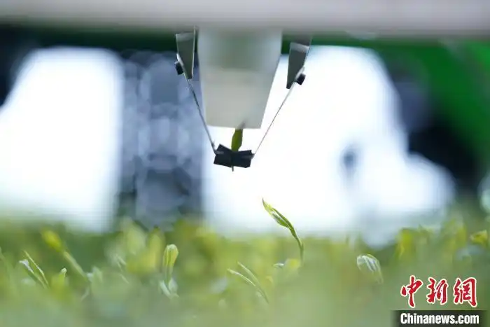 ????? ??????? ????? ??? ???? ????? ?? ??????????