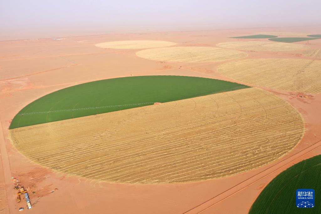 ??? ??? ?????? ?????? ?? ???????