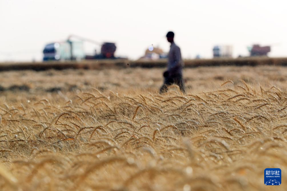 ??? ??? ?????? ?????? ?? ???????