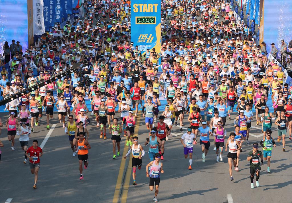 ??????: ?????? ??????? ???????????? ?? ????? ????? ??????? ???? ?? 17 ??? ??????