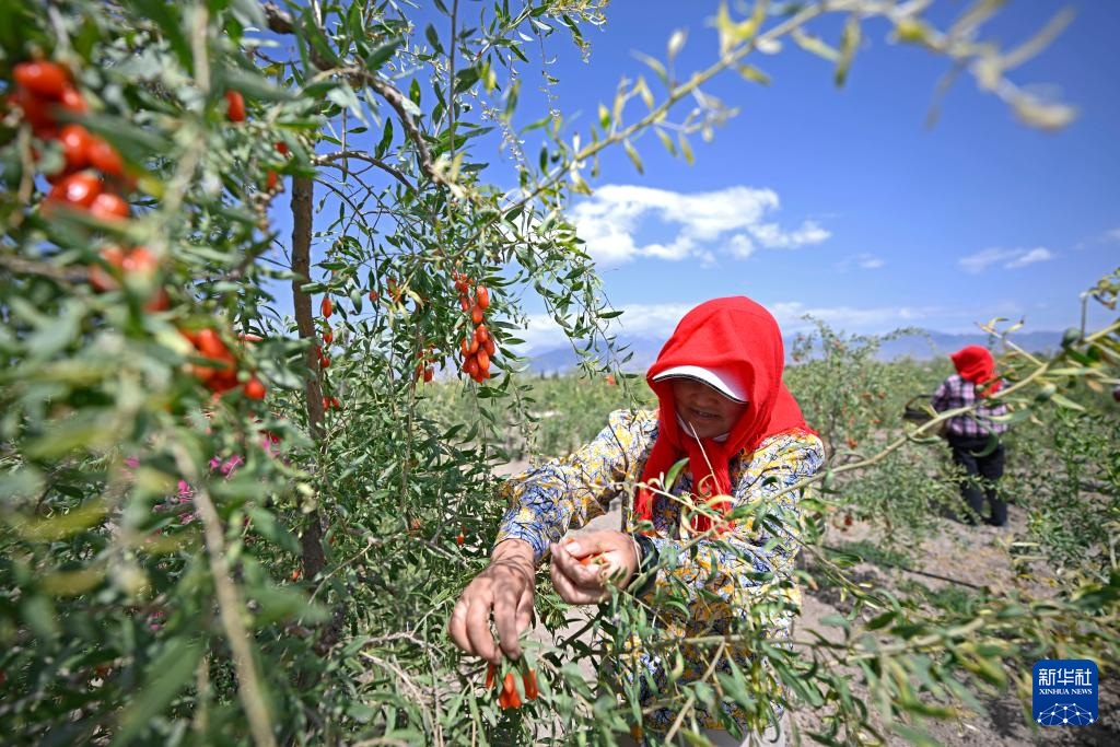 ????????? ?? ??????? ?????? ?? ??? ????? ??? ??????