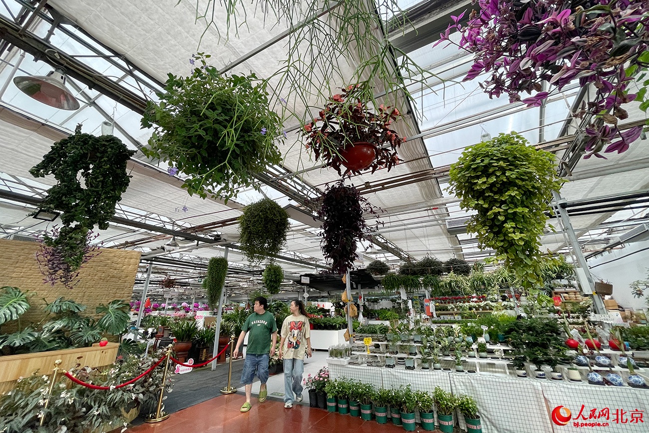 ???? ???? ?????? ??????.. ????? ?? ?????? ????? ????????