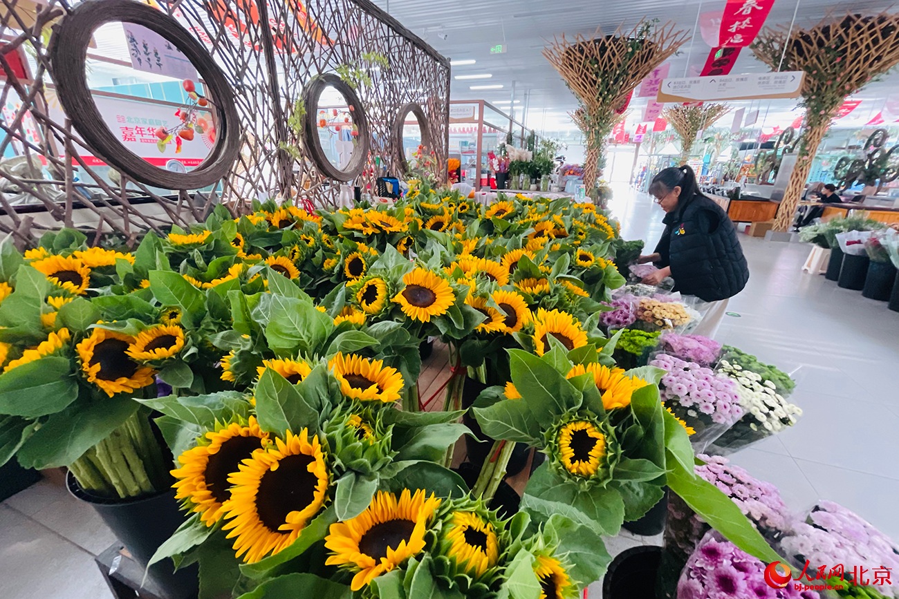 ???? ???? ?????? ??????.. ????? ?? ?????? ????? ????????