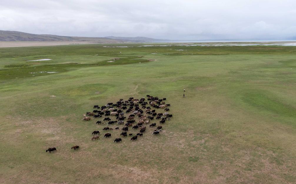 ??????: ????? ?? ??? ???? ?? ????? ??????? ????? ???? ?????