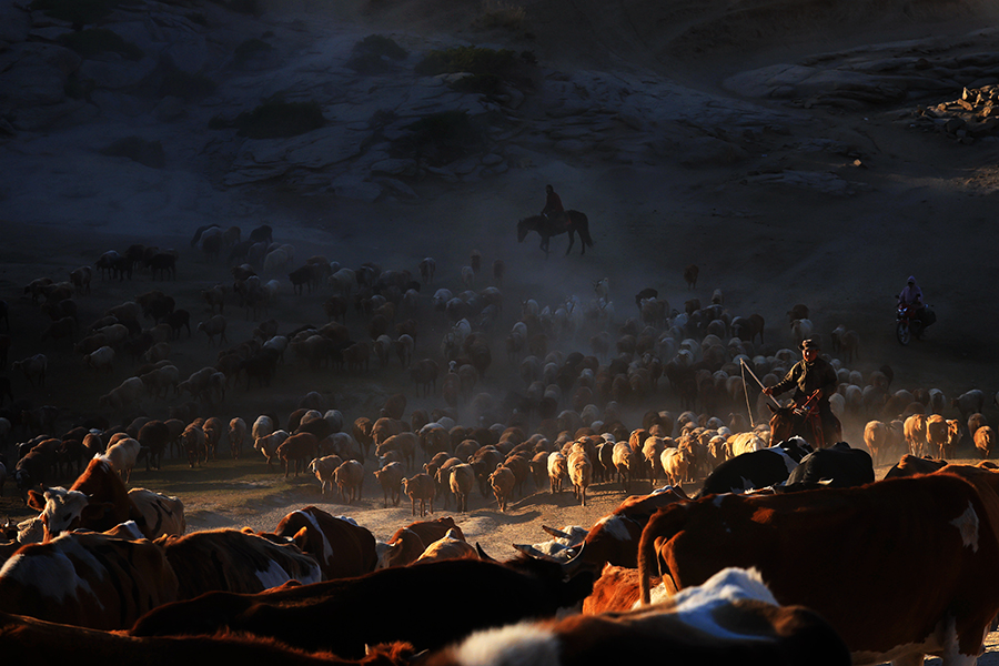 ????????: ??? ???? ??????? ?? ????? ????? ??? ??????