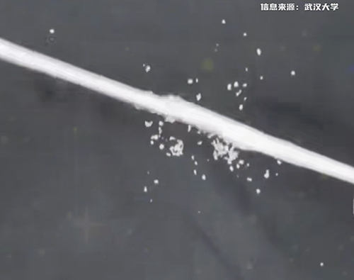 ???? ???? ????? ????? ?????? ??????? ??????? ?? ???? ??? ?????????