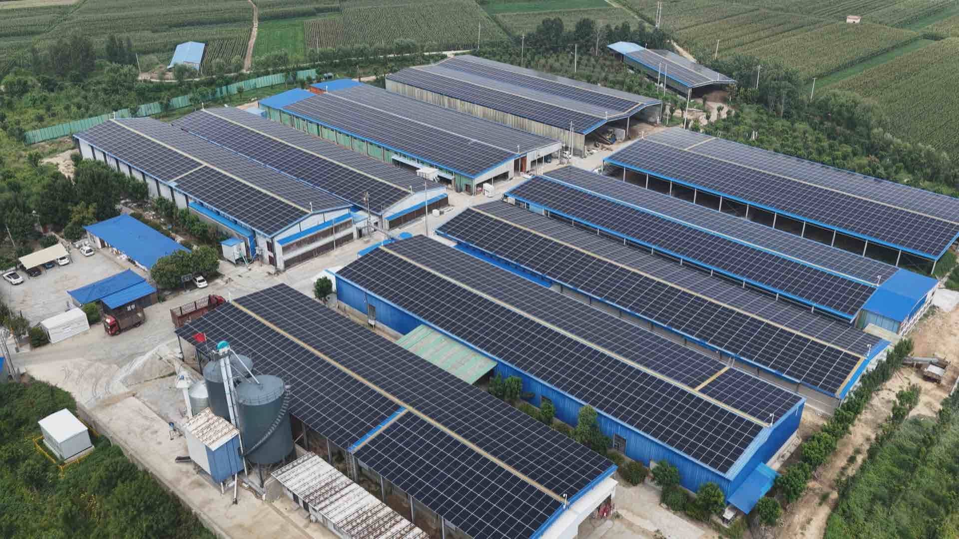 ?????? ??? ?????? ?????? ????? .. "????? ?????" ??? ???? ????? ????? ???????