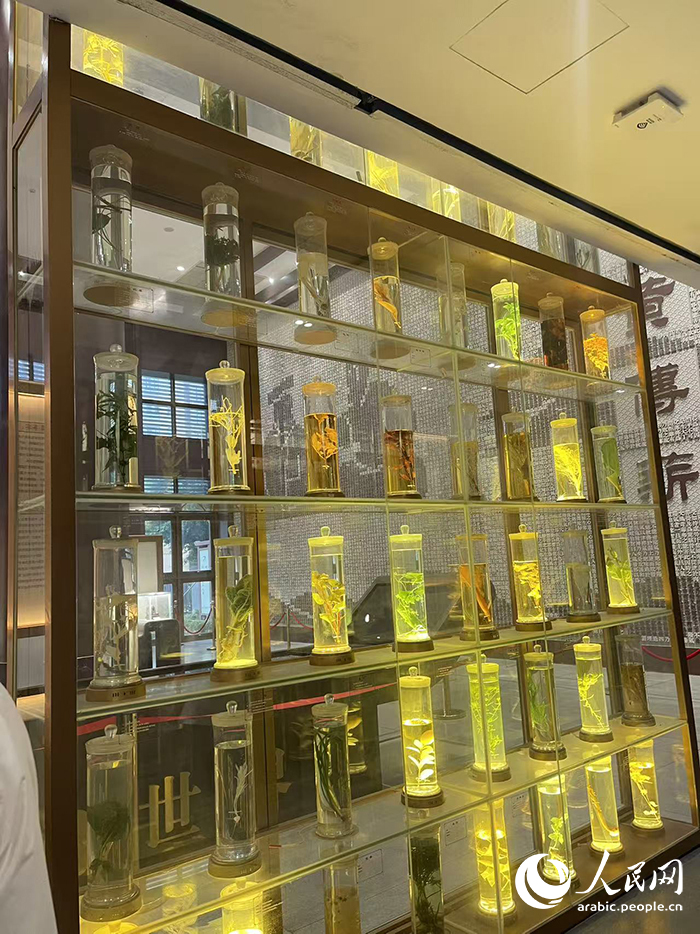 ?????? ?????: ????? ??????? ????? ???? ?????? ???????? ??????