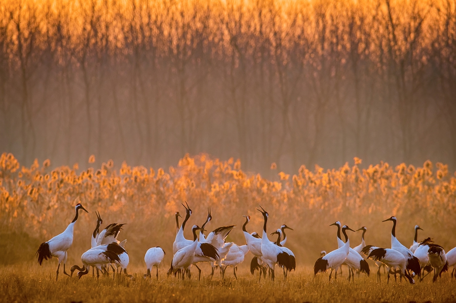 ?????? ????? ??????? ???????? 2025 ?? ????? ??????? ??????? ???????