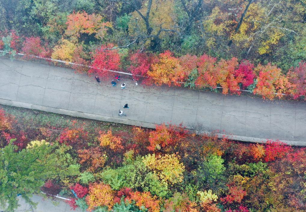 ??????: ????? ?????? ????? ?? ???? ???? ?????