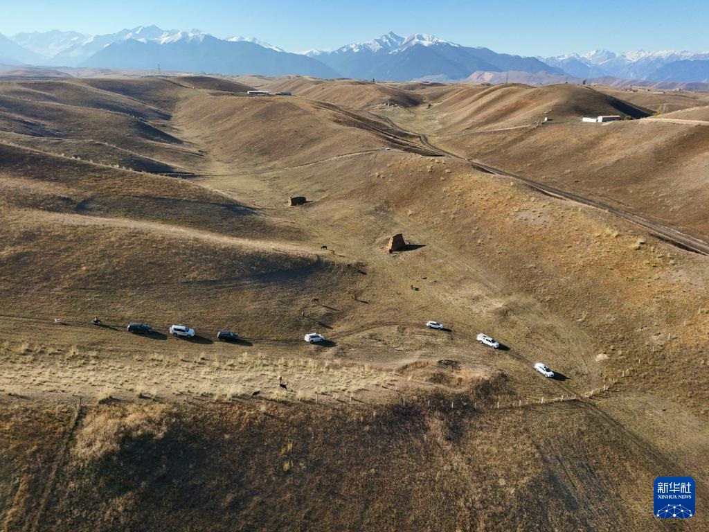 ???? ?????? ?? ????????: ?????? ??????? ????? ???? ??? ???????