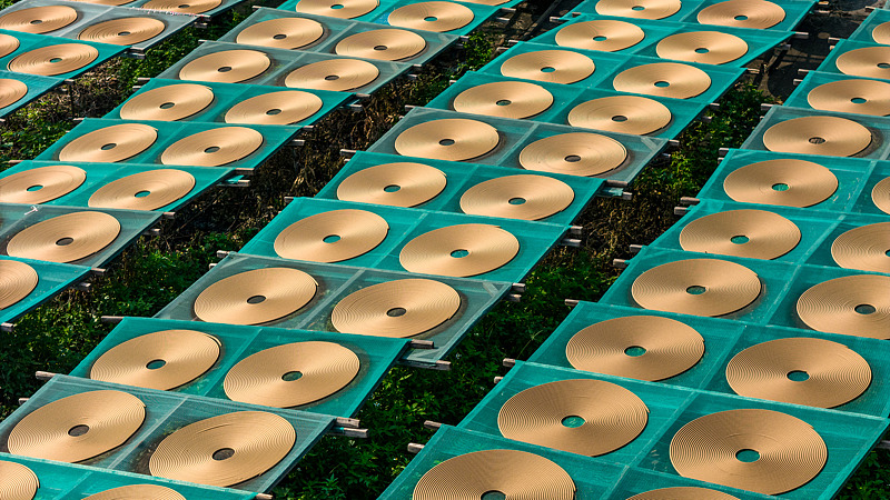 ???? ??? ??? ???????? ??????? ?????